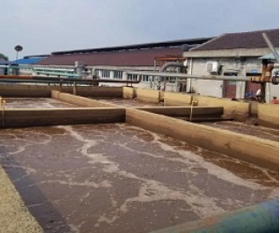 出水氨氮大于進(jìn)水氨氮，怎么回事？