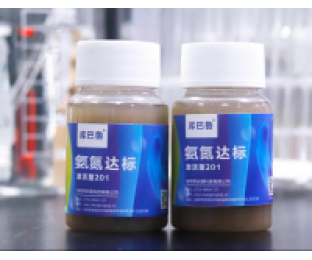 生化系統(tǒng)崩潰，氨氮超標(biāo)，我該怎么辦?