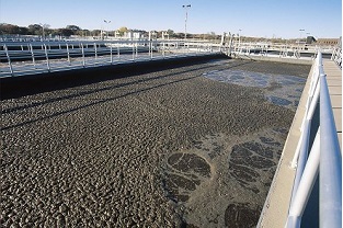 【干貨】泥齡導致的氨氮超標？那這種情況該如何處理呢？