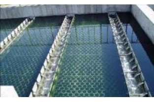 【干貨】生物濾池為什么一受沖擊氨氮去除率就會(huì)下降？